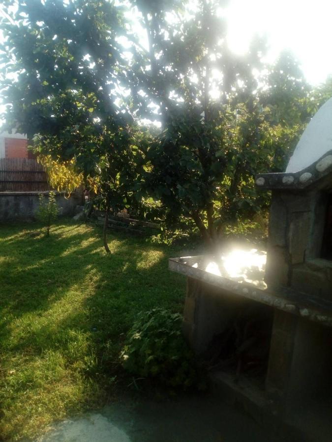 Къща За Гости Ягода Sapareva Banya Exterior photo